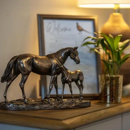Pallastown House Courtyard Kinsale * Кинсэйл